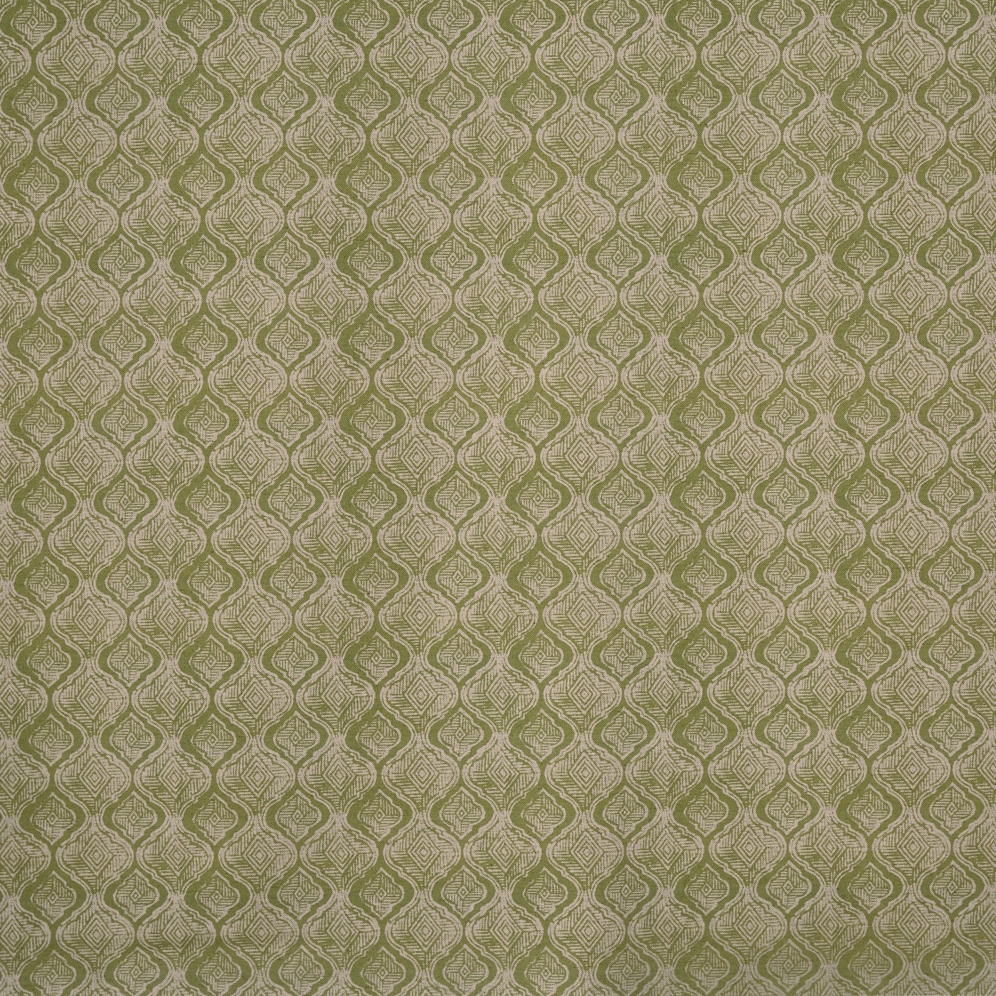 8806-281 ragley fennel